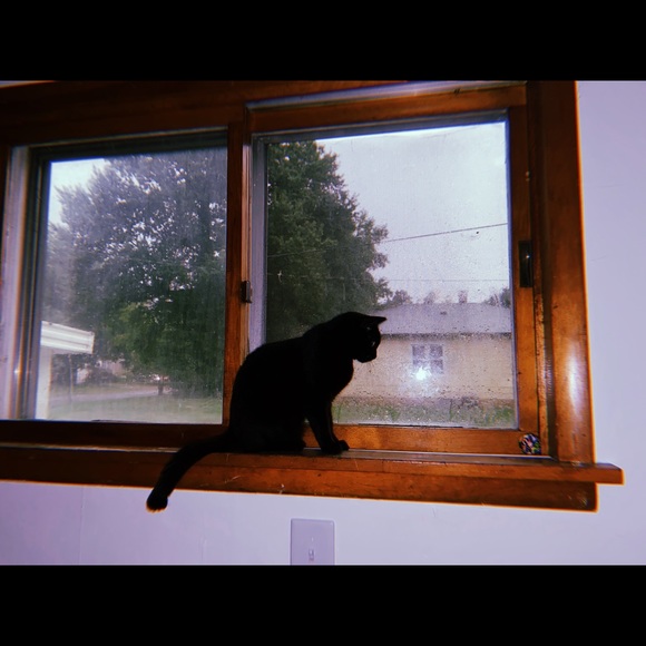 Meet your Posher, Haley - Picture 1 of 1